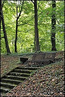 DSC_5916.JPG