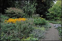 DSC_5918.JPG