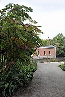 DSC_5934.JPG