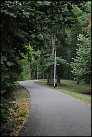 DSC_5936.JPG