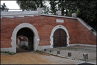 DSC_5955.JPG