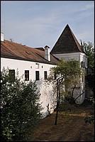 DSC_6006.JPG