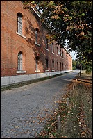 DSC_6150.JPG