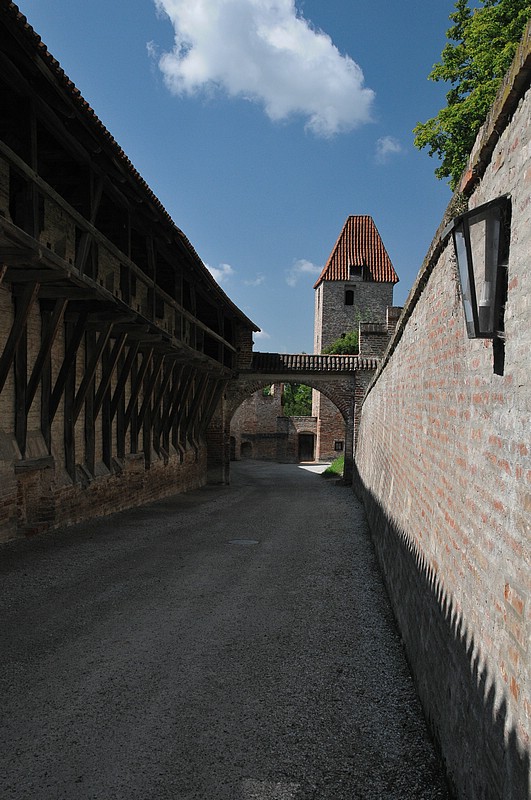 DSC_3410.JPG