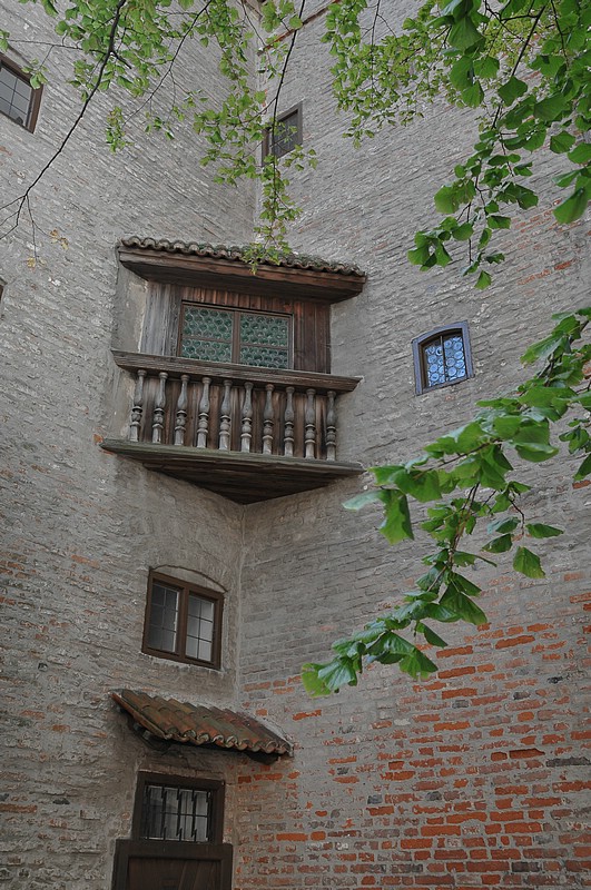 DSC_3449.JPG