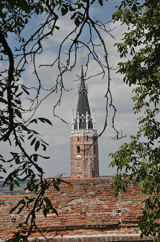 DSC_3577.JPG