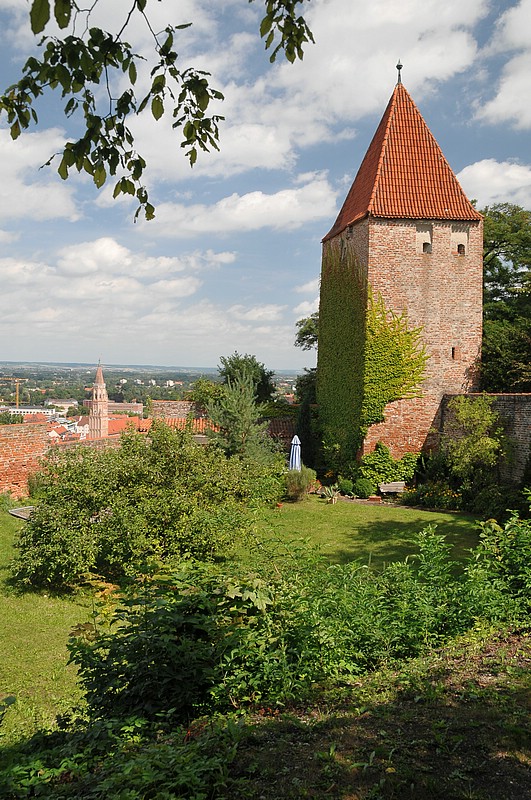 DSC_3601.JPG