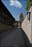 DSC_3410.JPG
