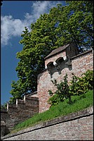 DSC_3413.JPG