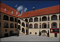 DSC_3434Sh.jpg