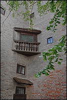 DSC_3449.JPG