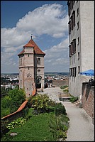 DSC_3508.JPG