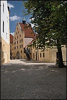 DSC_3520.JPG