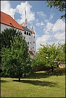 DSC_3571.JPG
