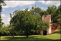DSC_3589.JPG