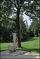 DSC_3697.JPG