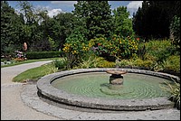 DSC_3703.JPG