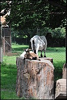 DSC_3715.JPG