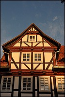 DSC_3729.JPG
