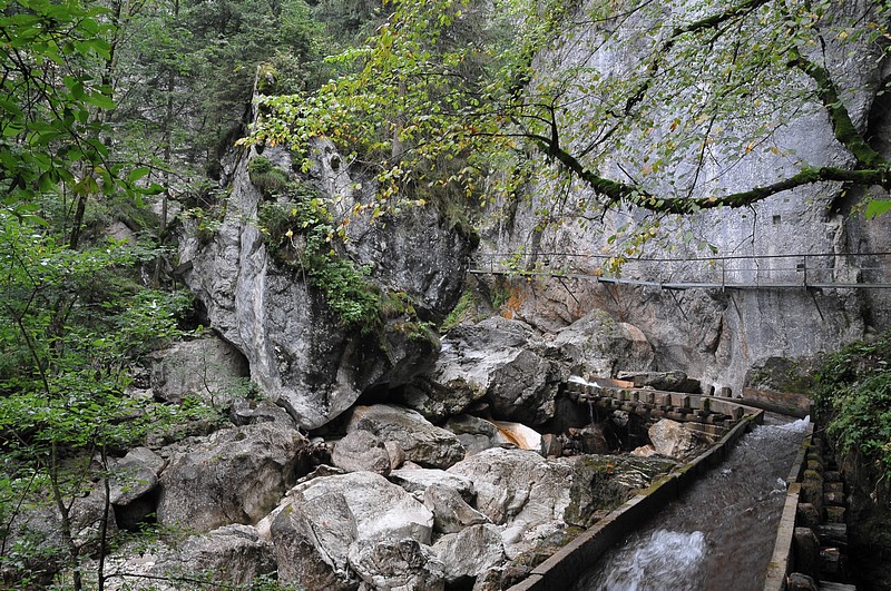 DSC_5465.JPG