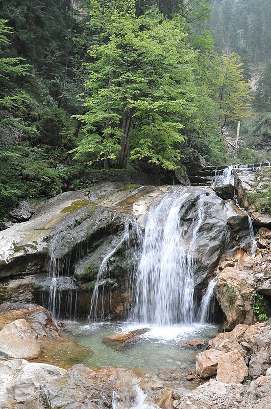 DSC_5475.JPG