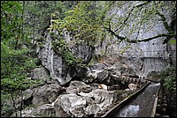 DSC_5465.JPG