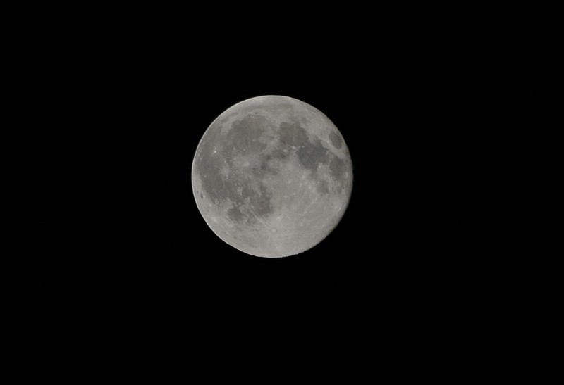 DSC_3358C.jpg