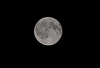 DSC_3358C.jpg