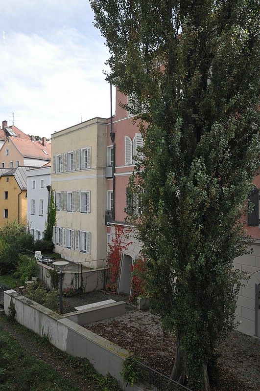DSC_6283.JPG