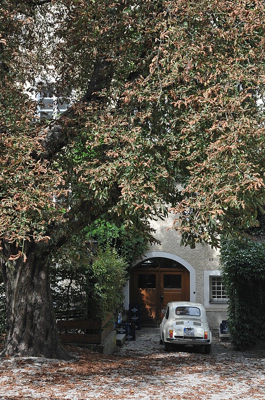 DSC_6292.JPG