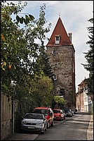 DSC_6286.JPG