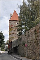 DSC_6289.JPG