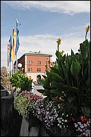 DSC_6469C.jpg
