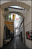 DSC_6481.JPG