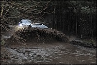 DSC_3372.JPG