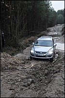 DSC_3445.JPG