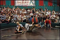 DSC_7618D.jpg