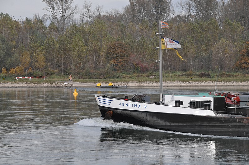 DSC_3598.JPG