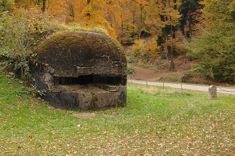 DSC_3618.JPG