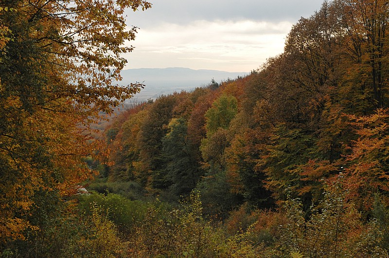 DSC_3630.JPG