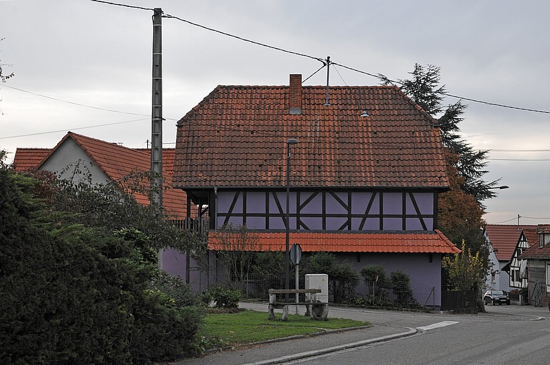 DSC_3654DG.jpg