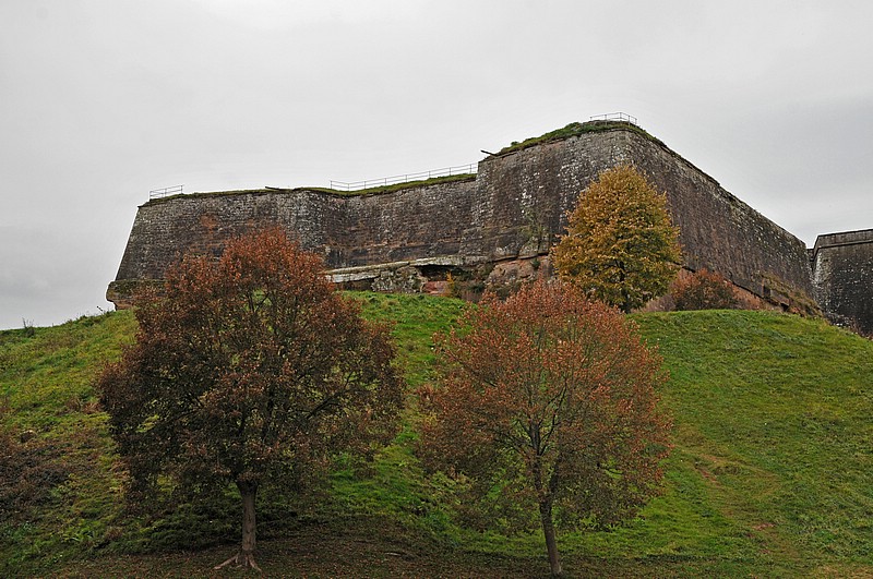 DSC_3656G.jpg