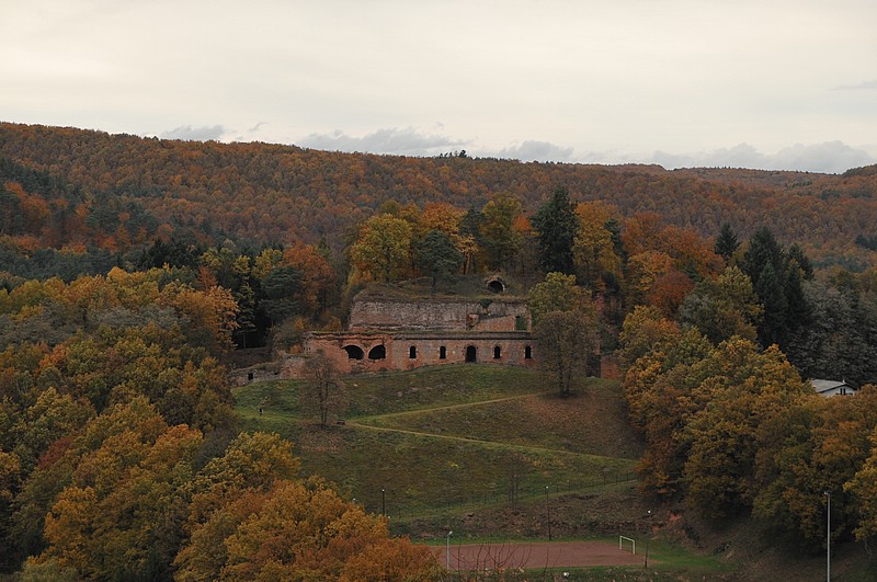 DSC_3661.JPG