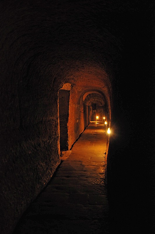 DSC_3699GS.jpg