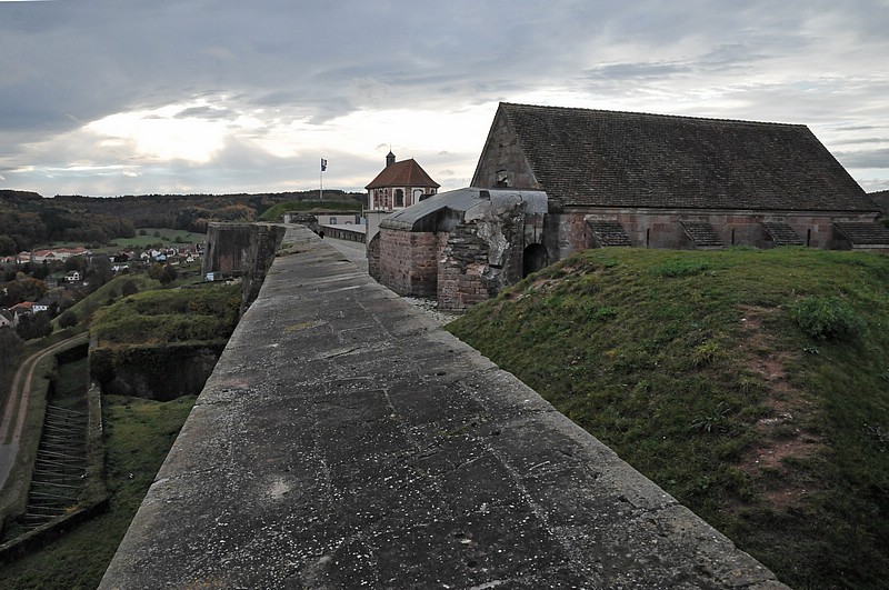 DSC_3761DG.jpg