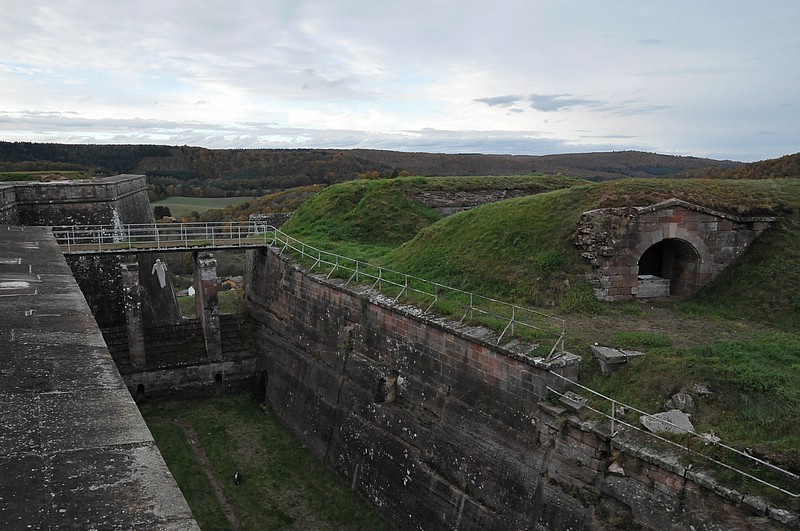 DSC_3762D.jpg
