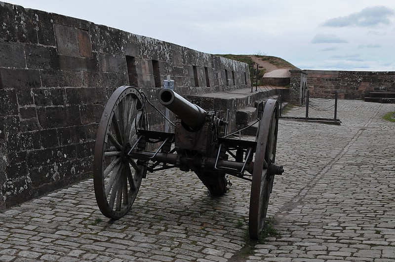 DSC_3768.JPG
