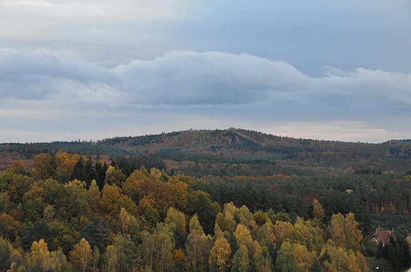 DSC_3771.JPG