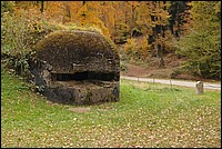 DSC_3618.JPG