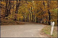 DSC_3622D.jpg